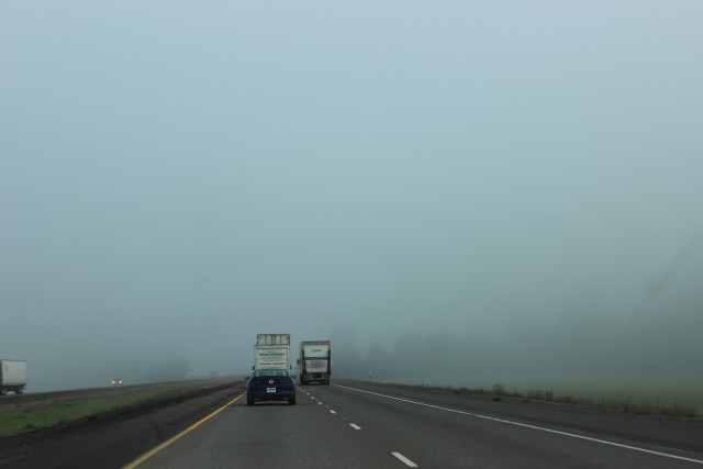 relationship blog portland oregon fog picture