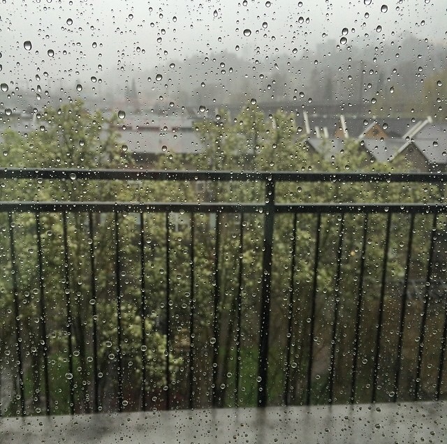 rainy portland oregon