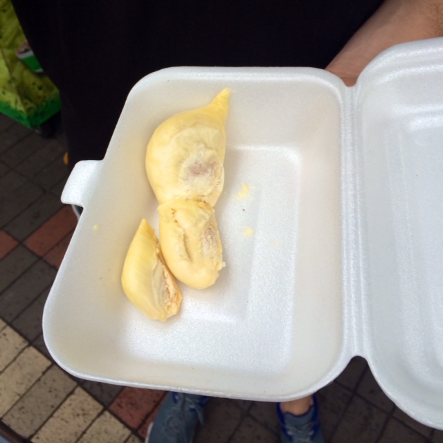 malaysia travel durian fruit