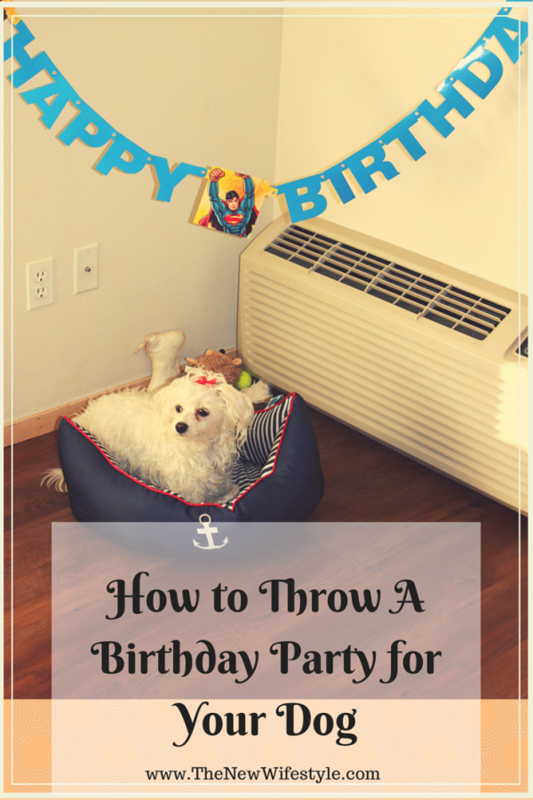 How to Throw A Birthday Party for Your