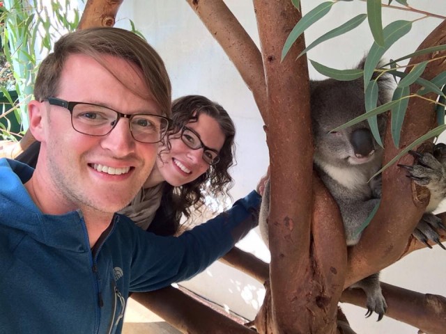 koala australia ryan and chelsea avery