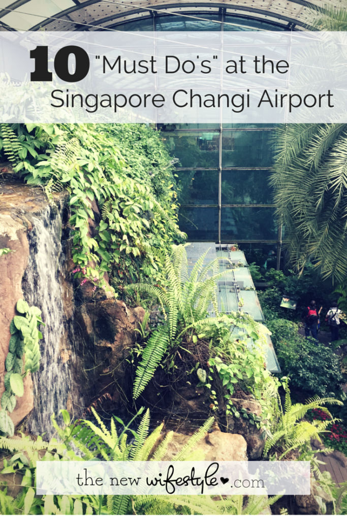 Things To Do at the Singapore Changi Airport