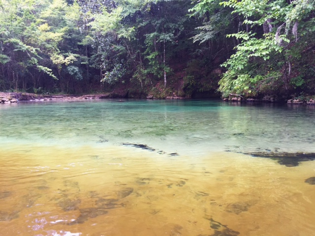 echofina creek natural spring