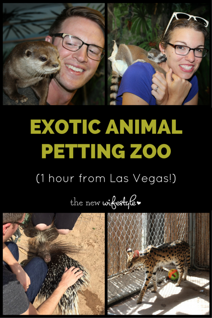 Exotic petting zoo