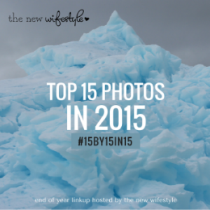 The New Wifestyle 2015 Photo Linkup