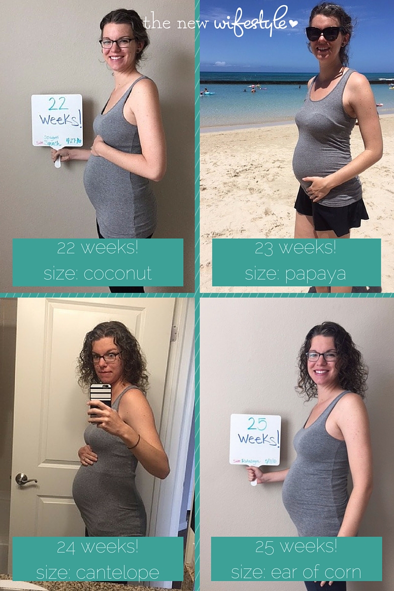 Pregnancy Update: Month 6 • the new wifestyle