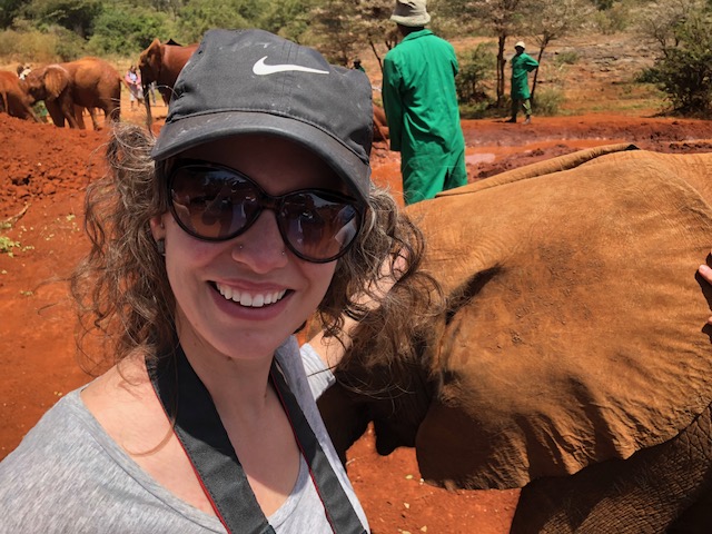 things to do in nairobi elephant orphanage